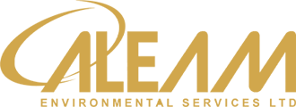ALEAM Logo